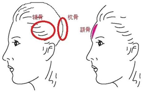 頭骨面相